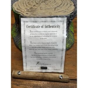 Black Coral Certificate Grand Cayman Island Companies Ltd Coral Souvenir Display